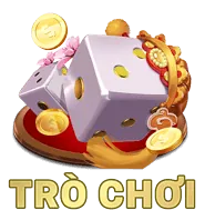 Hoa hồng cạnh tranh ffok28